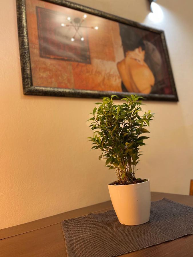 Romeo Apartment Livorno Luaran gambar